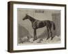 Fille De L'Air, the Winner of the Oaks for 1864-Harry Hall-Framed Giclee Print