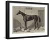 Fille De L'Air, the Winner of the Oaks for 1864-Harry Hall-Framed Giclee Print