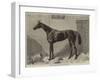 Fille De L'Air, the Winner of the Oaks for 1864-Harry Hall-Framed Giclee Print