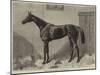 Fille De L'Air, the Winner of the Oaks for 1864-Harry Hall-Mounted Giclee Print