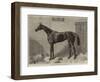 Fille De L'Air, the Winner of the Oaks for 1864-Harry Hall-Framed Giclee Print