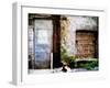 Filled in Derelict Doorway and Window-Clive Nolan-Framed Photographic Print