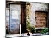 Filled in Derelict Doorway and Window-Clive Nolan-Mounted Photographic Print