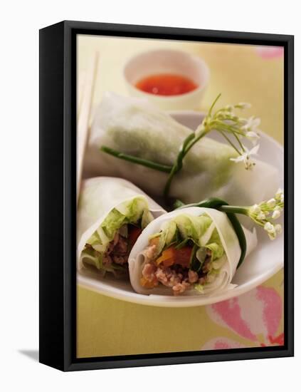Filled Rice Paper Rolls from Vietnam-null-Framed Stretched Canvas
