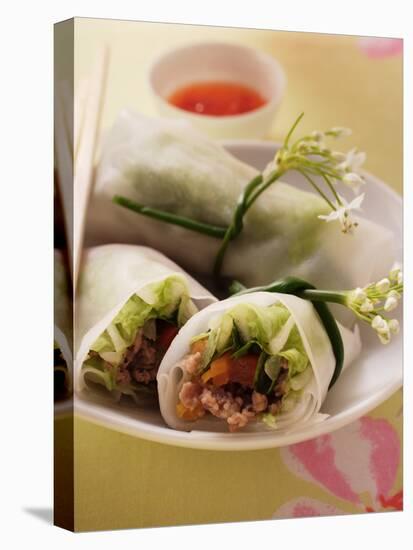 Filled Rice Paper Rolls from Vietnam-null-Stretched Canvas