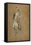 Fillette nue-Nude girl, 1893 Oil on cardboard, 59,4 x 40 cm.-Henri de Toulouse-Lautrec-Framed Stretched Canvas