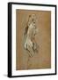 Fillette nue-Nude girl, 1893 Oil on cardboard, 59,4 x 40 cm.-Henri de Toulouse-Lautrec-Framed Giclee Print