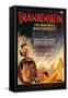 Film: Frankenstein, 1931-null-Framed Stretched Canvas