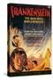 Film: Frankenstein, 1931-null-Stretched Canvas