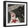 Film II-Gregory Gorham-Framed Art Print