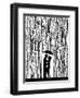 Film Noir-Marc Allante-Framed Giclee Print