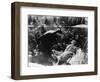 Film: Sunrise, 1927-Fredrich Wilhelm Murnau-Framed Giclee Print