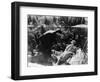 Film: Sunrise, 1927-Fredrich Wilhelm Murnau-Framed Giclee Print