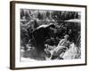 Film: Sunrise, 1927-Fredrich Wilhelm Murnau-Framed Giclee Print