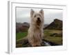 Filming the Adventures of Bobby, Edinburgh, November 2004-null-Framed Photographic Print