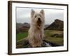 Filming the Adventures of Bobby, Edinburgh, November 2004-null-Framed Photographic Print