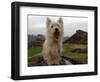 Filming the Adventures of Bobby, Edinburgh, November 2004-null-Framed Photographic Print