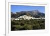 Filoti in Olive Groves, Tragea, Naxos, Cyclades, Greece-Richard Ashworth-Framed Photographic Print