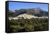 Filoti in Olive Groves, Tragea, Naxos, Cyclades, Greece-Richard Ashworth-Framed Stretched Canvas