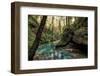 Filtered Light I-Danny Head-Framed Photographic Print