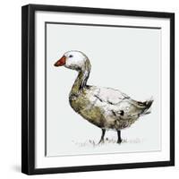 Filthy Goose, 2017,-Nancy Moniz Charalambous-Framed Giclee Print