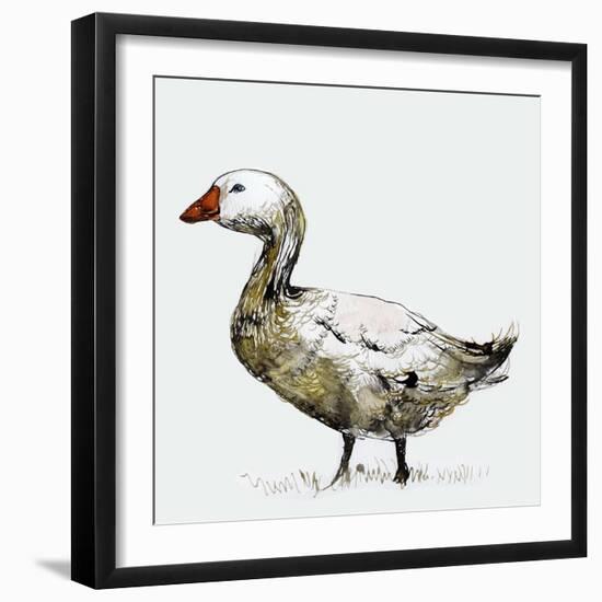 Filthy Goose, 2017,-Nancy Moniz Charalambous-Framed Giclee Print