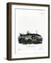 Fin Whale-null-Framed Giclee Print