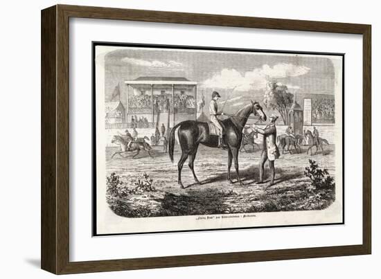 Final Adjustments to a Horse's Bridle Before the Start of a Race-null-Framed Art Print