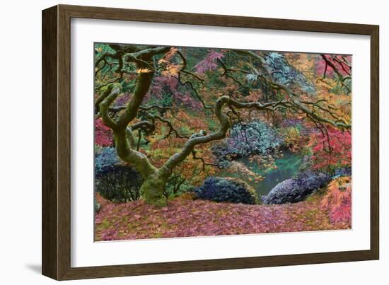 Final Rainbow Tree-Moises Levy-Framed Photographic Print