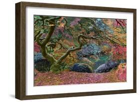 Final Rainbow Tree-Moises Levy-Framed Photographic Print