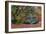 Final Rainbow Tree-Moises Levy-Framed Photographic Print