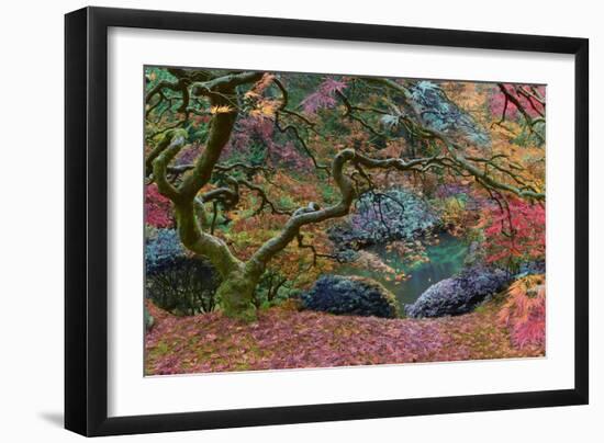 Final Rainbow Tree-Moises Levy-Framed Photographic Print