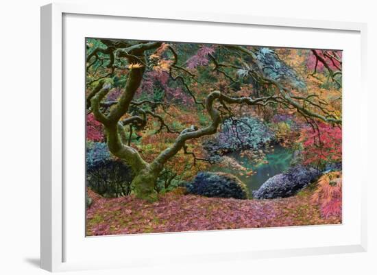 Final Rainbow Tree-Moises Levy-Framed Photographic Print