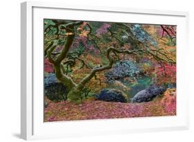 Final Rainbow Tree-Moises Levy-Framed Photographic Print