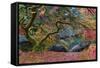 Final Rainbow Tree-Moises Levy-Framed Stretched Canvas