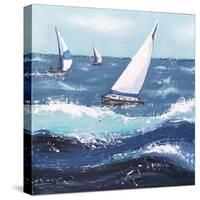 Final Sailing  I-Jade Reynolds-Stretched Canvas