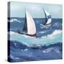 Final Sailing  II-Jade Reynolds-Stretched Canvas