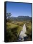 Final Stretch of Overland Track to Narcissus Hut, Mount Olympus on Shores of Lake St Clair in Back-Julian Love-Framed Stretched Canvas