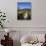 Final Stretch of Overland Track to Narcissus Hut, Mount Olympus on Shores of Lake St Clair in Back-Julian Love-Photographic Print displayed on a wall