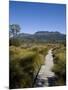 Final Stretch of Overland Track to Narcissus Hut, Mount Olympus on Shores of Lake St Clair in Back-Julian Love-Mounted Photographic Print