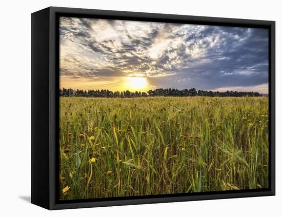 Final Sunset-Giuseppe Torre-Framed Stretched Canvas