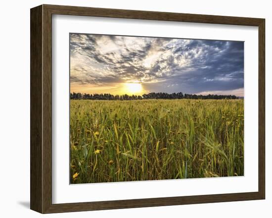 Final Sunset-Giuseppe Torre-Framed Photographic Print