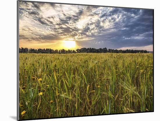 Final Sunset-Giuseppe Torre-Mounted Photographic Print