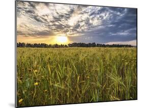 Final Sunset-Giuseppe Torre-Mounted Photographic Print