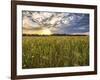 Final Sunset-Giuseppe Torre-Framed Photographic Print