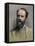 Financier Jay Gould-null-Framed Stretched Canvas