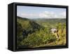 Finca Don Eduardo, Coffee Farm, Salento, Colombia, South America-Christian Kober-Framed Stretched Canvas