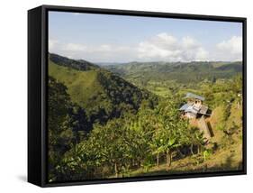 Finca Don Eduardo, Coffee Farm, Salento, Colombia, South America-Christian Kober-Framed Stretched Canvas