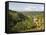 Finca Don Eduardo, Coffee Farm, Salento, Colombia, South America-Christian Kober-Framed Stretched Canvas