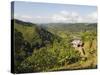 Finca Don Eduardo, Coffee Farm, Salento, Colombia, South America-Christian Kober-Stretched Canvas